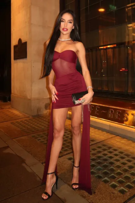 Brunette Brazilian escort in High Street Kensington - Vega - image 16