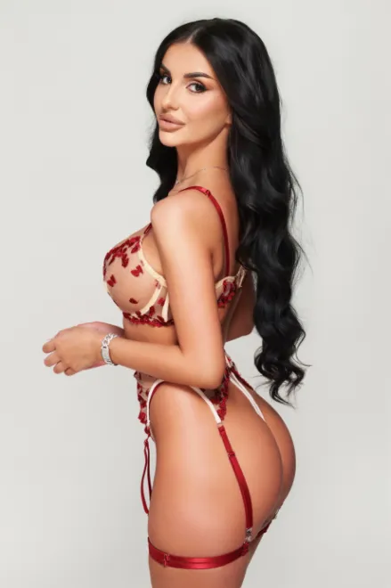 Brunette Eastern European escort in Knightsbridge - Venus - image 7