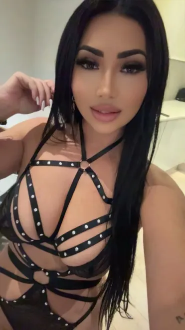 Brunette Eastern European escort in Paddington - Tamara - image 19
