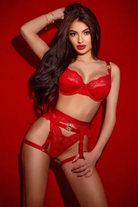 Brunette Eastern European escort in Regent's Park - Foxie - image 2