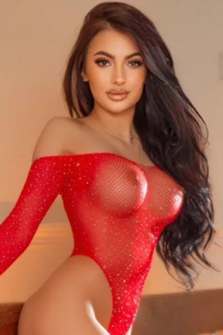Brunette Eastern European escort in Regent's Park - Foxie - image 16